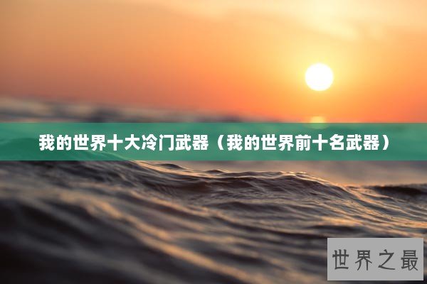 我的世界十大冷门武器（我的世界前十名武器）