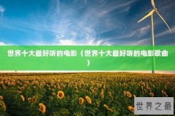 世界十大最好听的电影（世界十大最好听的电影歌曲）