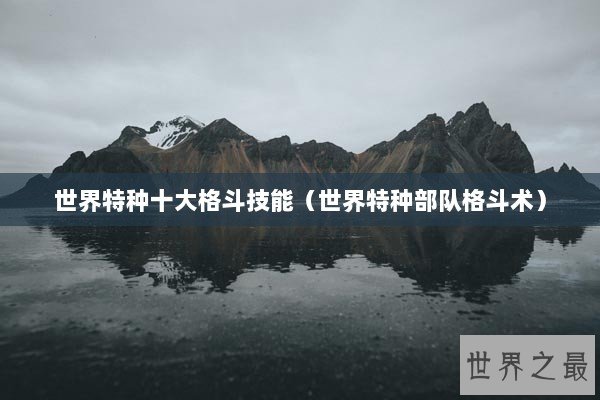 世界特种十大格斗技能（世界特种部队格斗术）