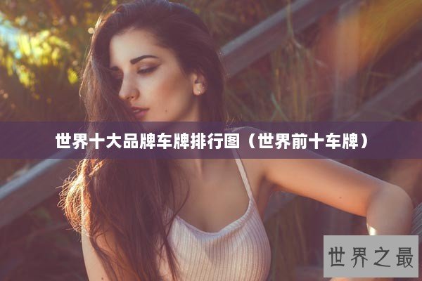 世界十大品牌车牌排行图（世界前十车牌）