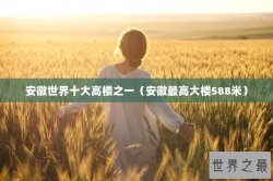 安徽世界十大高楼之一（安徽最高大楼588米）