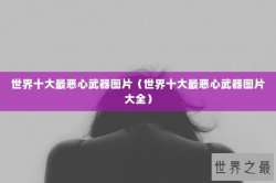 世界十大最恶心武器图片（世界十大最恶心武器图片大全）