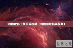 动物世界十大搞笑视频（动物超级搞笑视频）