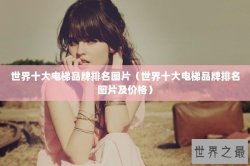 世界十大电梯品牌排名图片（世界十大电梯品牌排名图片及价格）