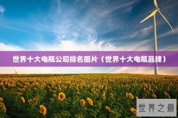 世界十大电瓶公司排名图片（世界十大电瓶品牌）