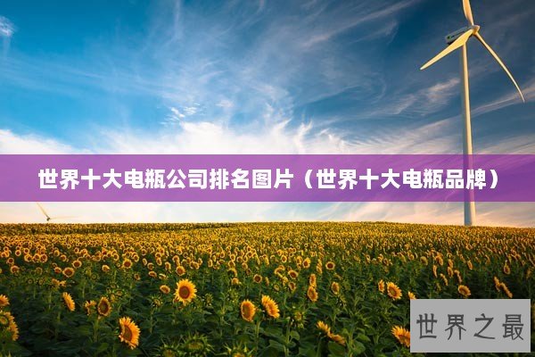 世界十大电瓶公司排名图片（世界十大电瓶品牌）