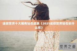 迷你世界十大稀有钻石皮肤（2021迷你世界钻石长什么样）