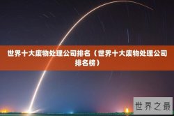 世界十大废物处理公司排名（世界十大废物处理公司排名榜）
