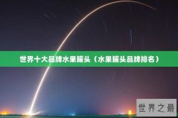 世界十大品牌水果罐头（水果罐头品牌排名）