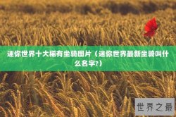 迷你世界十大稀有坐骑图片（迷你世界最新坐骑叫什么名字?）