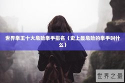 世界拳王十大危险拳手排名（史上最危险的拳手叫什么）