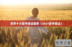 世界十大留学签证国家（2021留学签证）
