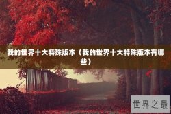我的世界十大特殊版本（我的世界十大特殊版本有哪些）