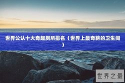 世界公认十大奇趣厕所排名（世界上最奇葩的卫生间）