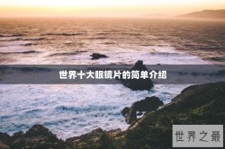 世界十大眼镜片的简单介绍