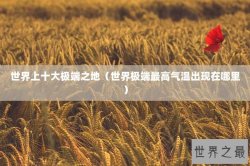世界上十大极端之地（世界极端最高气温出现在哪里）