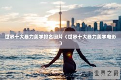 世界十大暴力美学排名图片（世界十大暴力美学电影）