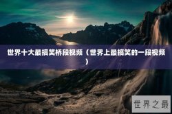 世界十大最搞笑桥段视频（世界上最搞笑的一段视频）