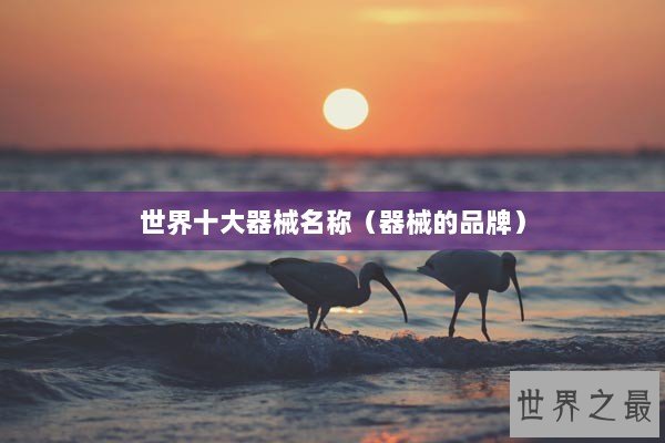 世界十大器械名称（器械的品牌）