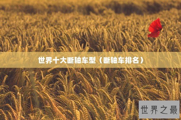 世界十大断轴车型（断轴车排名）