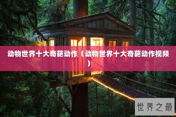 动物世界十大奇葩动作（动物世界十大奇葩动作视频）