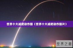 世界十大减肥动作图（世界十大减肥动作图片）