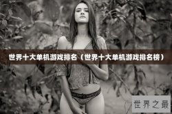 世界十大单机游戏排名（世界十大单机游戏排名榜）