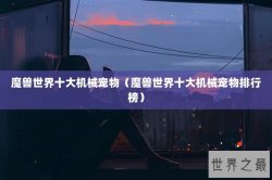 魔兽世界十大机械宠物（魔兽世界十大机械宠物排行榜）