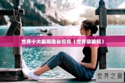 世界十大骗局揭秘视频（世界级骗局）