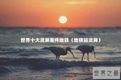 世界十大灵异案件地铁（地铁站灵异）