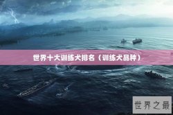 世界十大训练犬排名（训练犬品种）