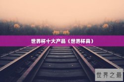 世界杯十大产品（世界杯具）
