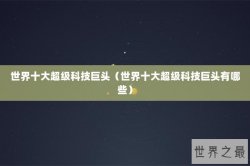 世界十大超级科技巨头（世界十大超级科技巨头有哪些）