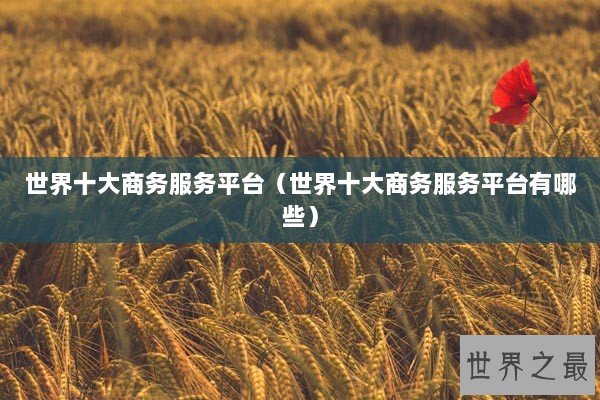 世界十大商务服务平台（世界十大商务服务平台有哪些）