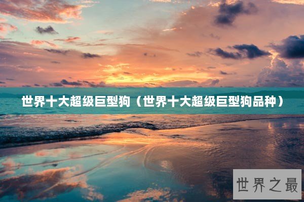 世界十大超级巨型狗(世界十大超级巨型狗品种) 世界十大超级巨型狗(世界十大超级巨型狗品种)