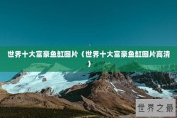 世界十大富豪鱼缸图片（世界十大富豪鱼缸图片高清）