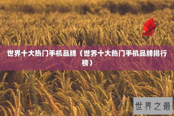 世界十大热门手机品牌（世界十大热门手机品牌排行榜）