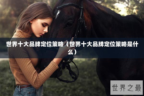 世界十大品牌定位策略（世界十大品牌定位策略是什么）