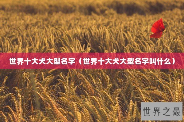 世界十大犬大型名字（世界十大犬大型名字叫什么）