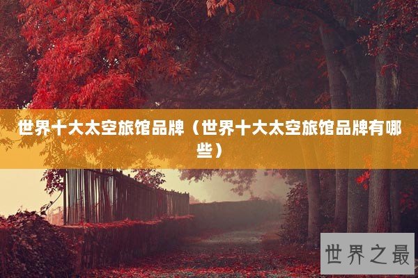 世界十大太空旅馆品牌（世界十大太空旅馆品牌有哪些）