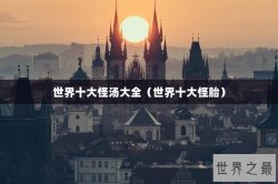 世界十大怪汤大全（世界十大怪胎）