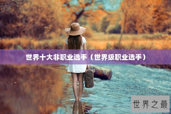 世界十大非职业选手（世界级职业选手）