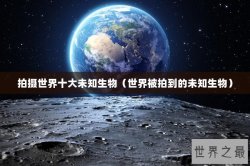 拍摄世界十大未知生物（世界被拍到的未知生物）