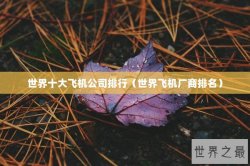 世界十大飞机公司排行（世界飞机厂商排名）