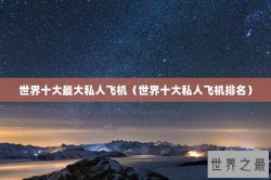 世界十大最大私人飞机（世界十大私人飞机排名）