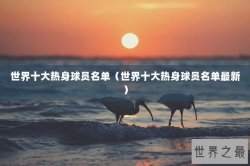 世界十大热身球员名单（世界十大热身球员名单最新）