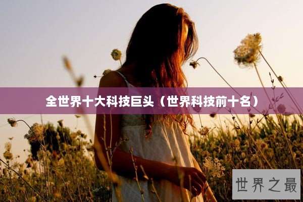 全世界十大科技巨头（世界科技前十名）