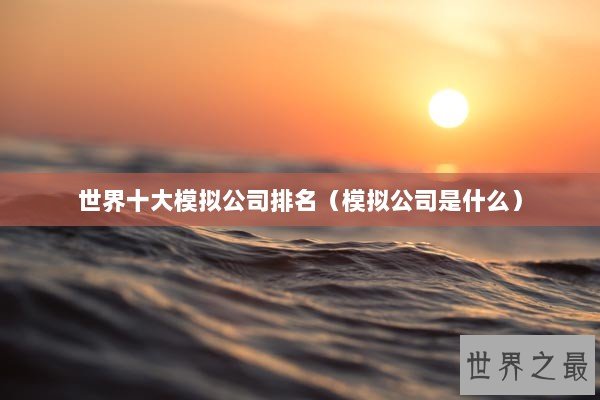 世界十大模拟公司排名（模拟公司是什么）
