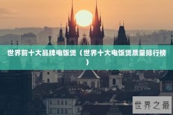 世界前十大品牌电饭煲（世界十大电饭煲质量排行榜）