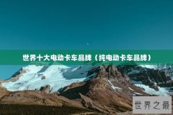 世界十大电动卡车品牌（纯电动卡车品牌）